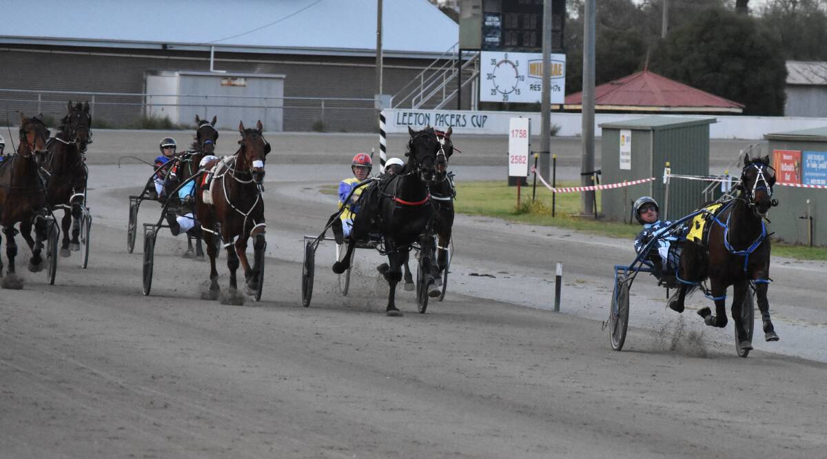 Rocknroll Runa puts a gap on his rivals in the NSW Breeders Challenge heat at Leeton on Friday.