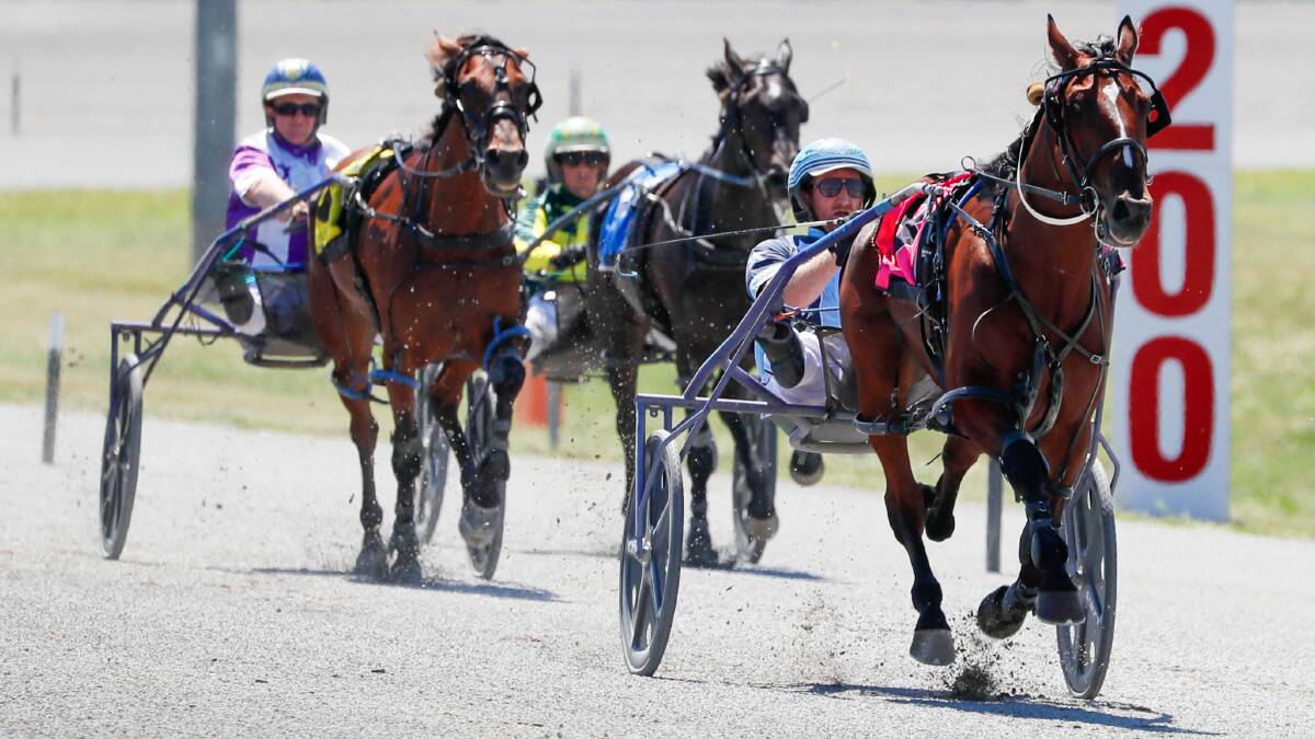 My Ultimate Harry races away to score another impressive win for new trainer-driver Jackson Painting at Riverina Paceway on Friday. Picture by Les Smith