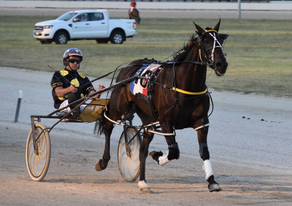 IN THE HUNT: Medal Of Honour in the only Riverina horse in the running for the Albury Pacers Cup on Saturday night. He's coming off a win on the track, pictured, a fortnight ago for new trainer Shane Hillier. Picture: Courtney Rees