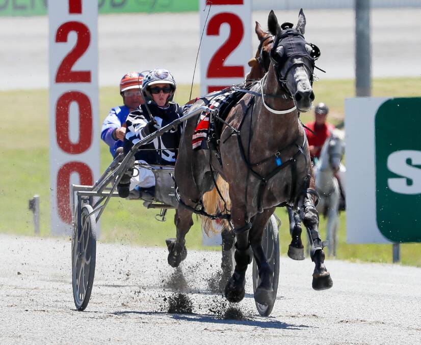 Taylah Osmond scores the first of her two wins for the day with Smokin Pocket at Riverina Paceway on Friday. Picture by Les Smith