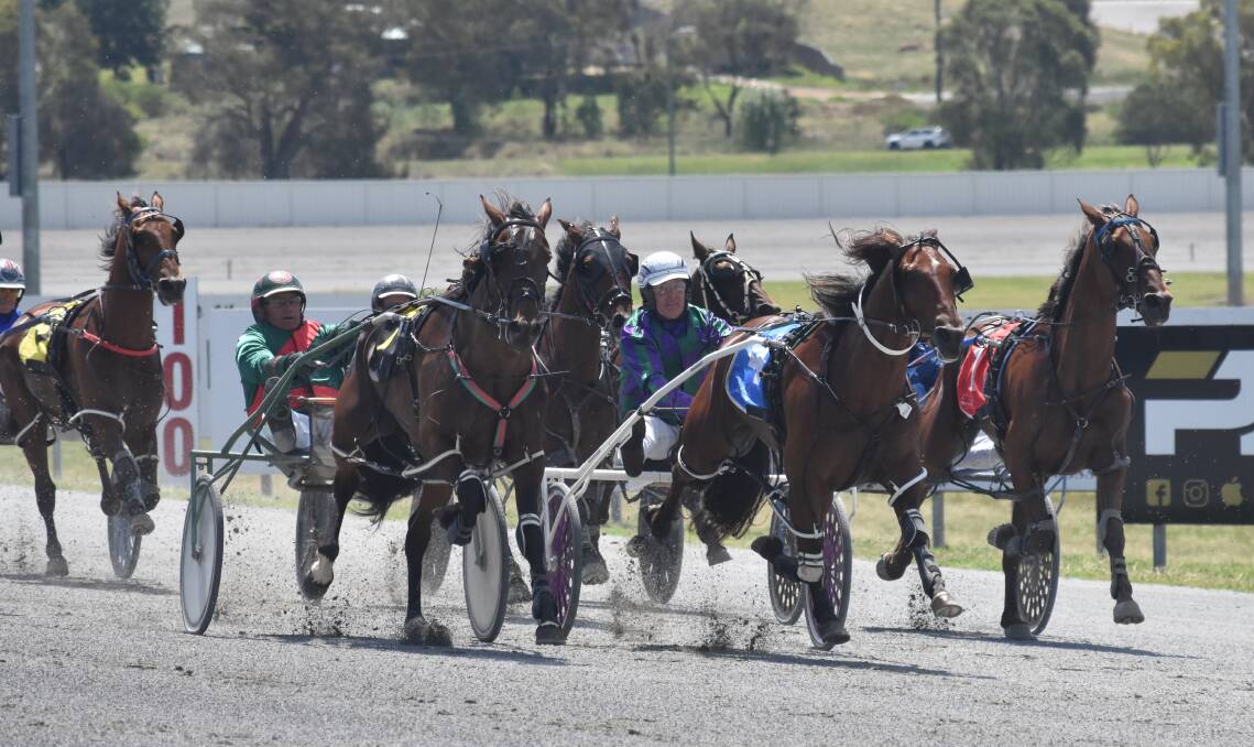 Phil Maguire urges Signor Jujon (centre) to the line at Riverina Paceway to deliver the Leeton horseman one more win before handing over the reins. Picture by Courtney Rees