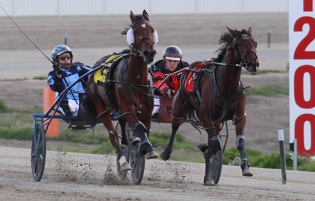 ALONG THE INSIDE: Todd Prest and Sporty Dancer charge up the sprint lane to down Jackson Painting and Eippermill to win the opening race at Wagga on Friday. Picture: Les Smith