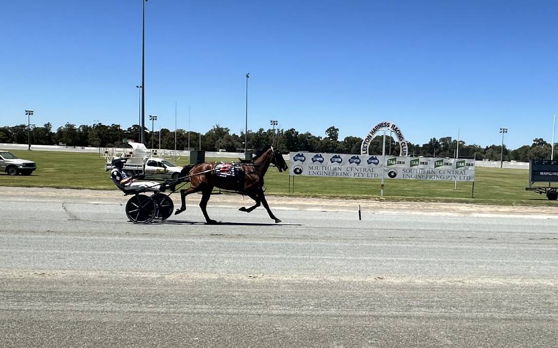 Hilly crosses the line in the one-horse field at Leeton on Friday.