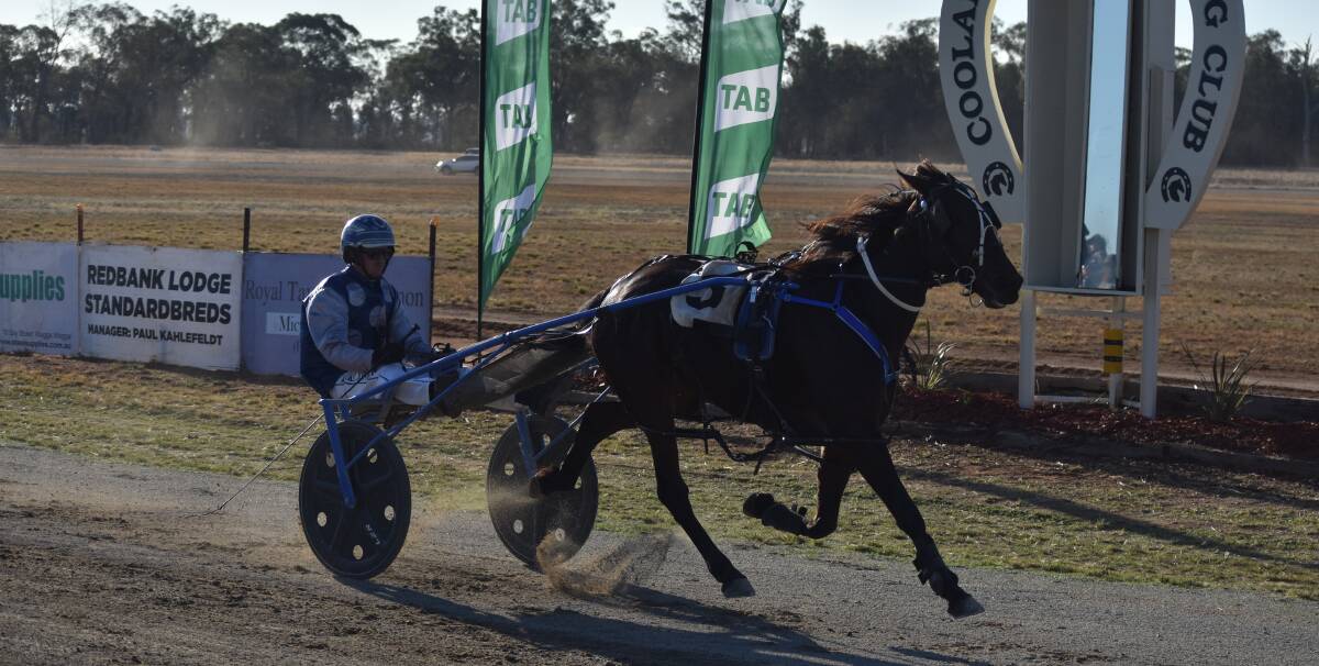 LEAGUE OF HER OWN: Jive Dancing won the Coolamon Pacers Cup by almost 30 metres in track record time on Thursday. Picture: Courtney Rees