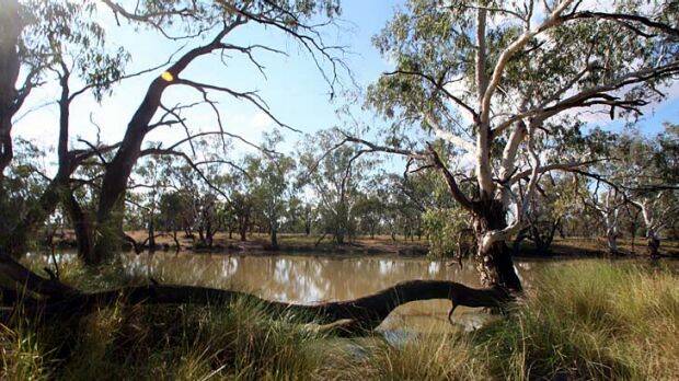 MEDIA: Neil Eagle says he's dismayed at what he says is bias reporting by the ABC and many other media outlets concerning the Murray Darling Basin Plan.