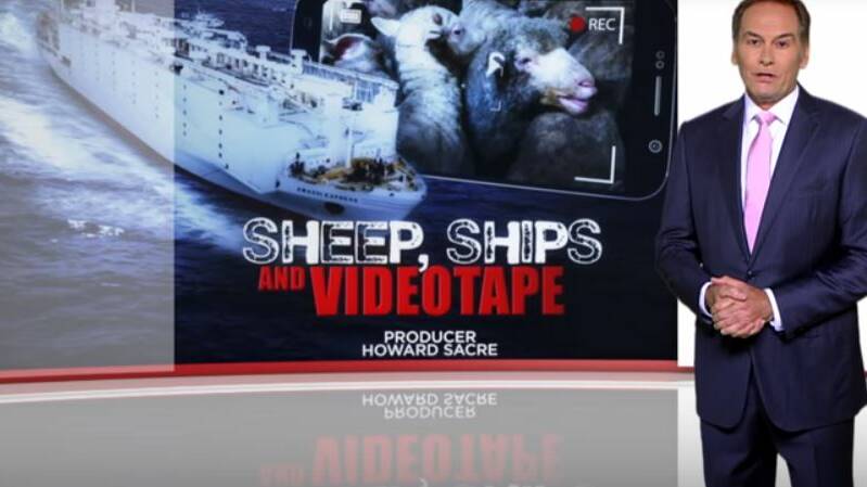EXPOSED: Footage of suffering sheep on boats bound for the Middle East was aired on the Nine Network's 60 Minutes program and shown to agriculture minister David Littleproud.