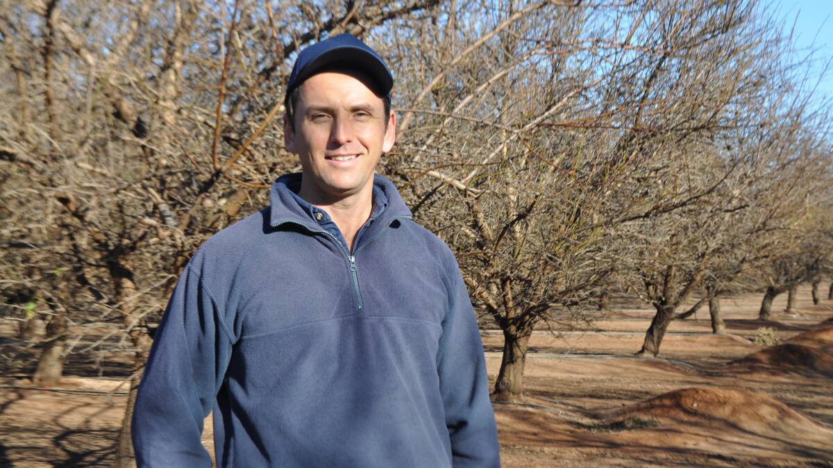 MIA James Callipairi, is one of 20 family-owned almond growers in the Riverina.