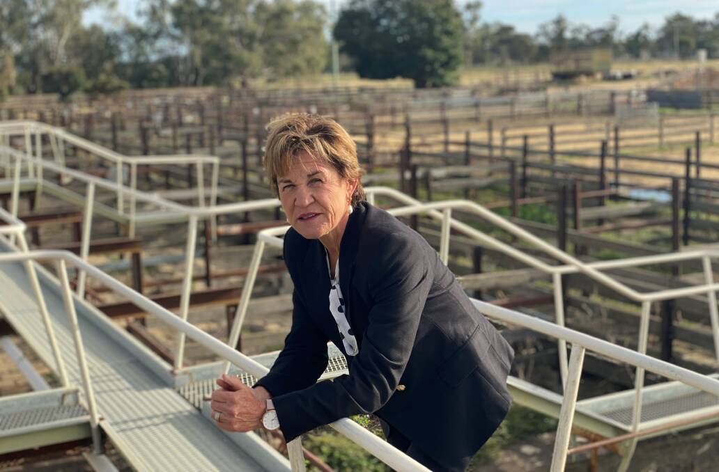 On the front foot: Helen Dalton has castigated Sussan Ley over border talk, in the wake of Victoria excluding Edward River from its bubble with NSW.