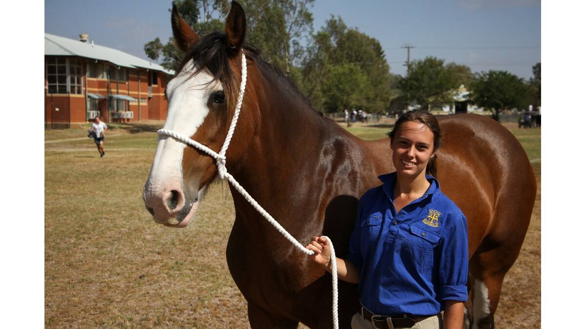 A SERIES of photos from this year's Yanco Agricultural High School Gala Day that was held on March 21. 