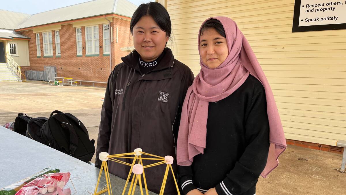LEARN: LHS students Linda Ge (left) and Nazdana Saifi complete one of the activities courtesy of the Australian National University. Photo: Talia Pattison