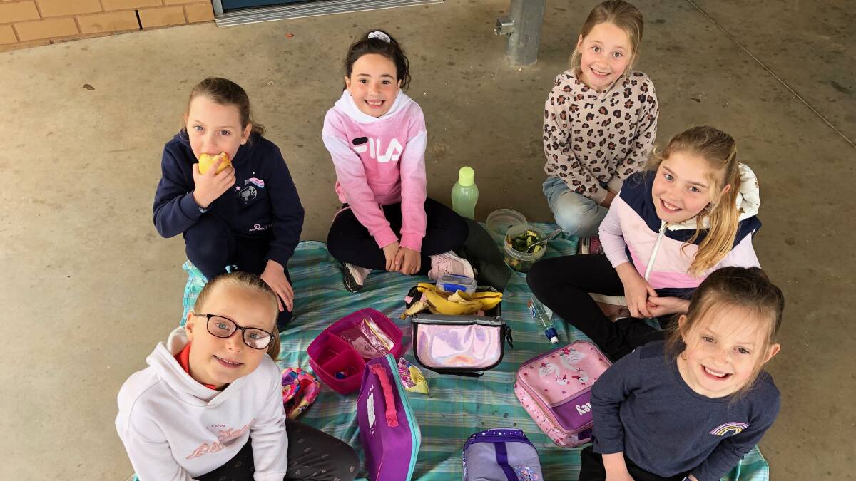 PICNIC: Zoey Lee, Myah Longford, Isabella Rombola, Alexia Shortis, Hailey Grainger and Eden Small at Leeton's Out of School Care. Photo: Talia Pattison