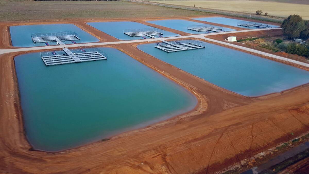 Aquaculture is continuing to grow in the MIA. Photo: Supplied