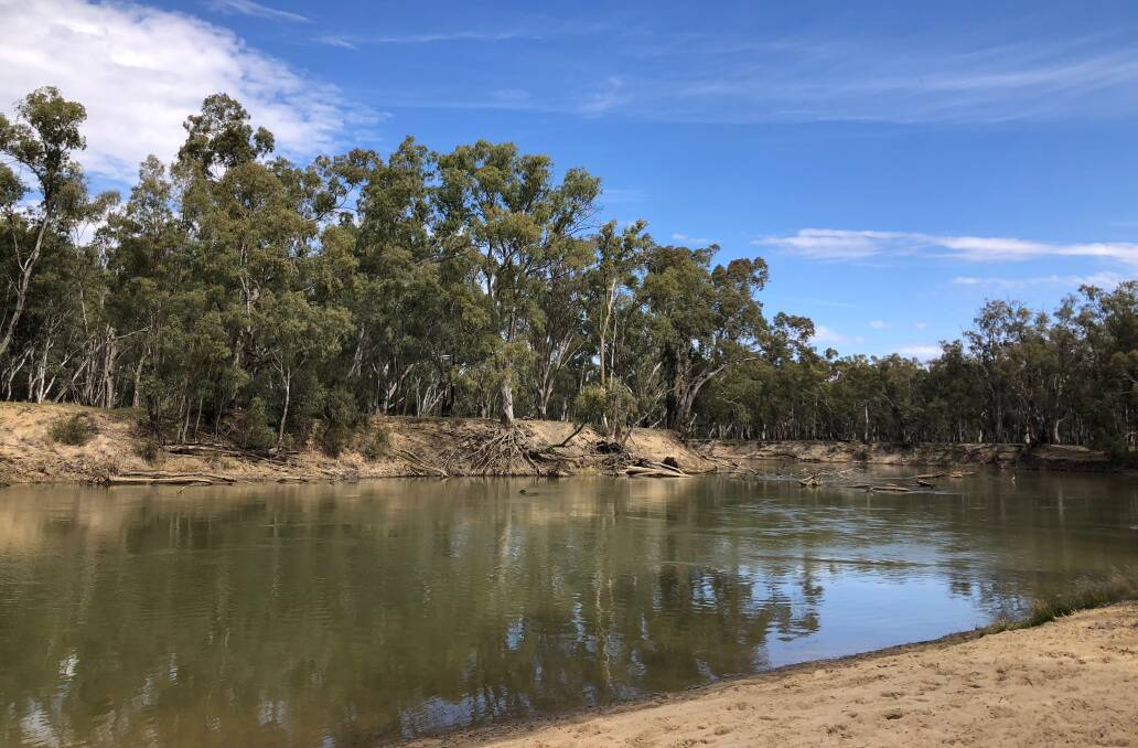 Blue skies, cool water and sandy "beaches" - what more could you want out at the Murrumbidgee River. 