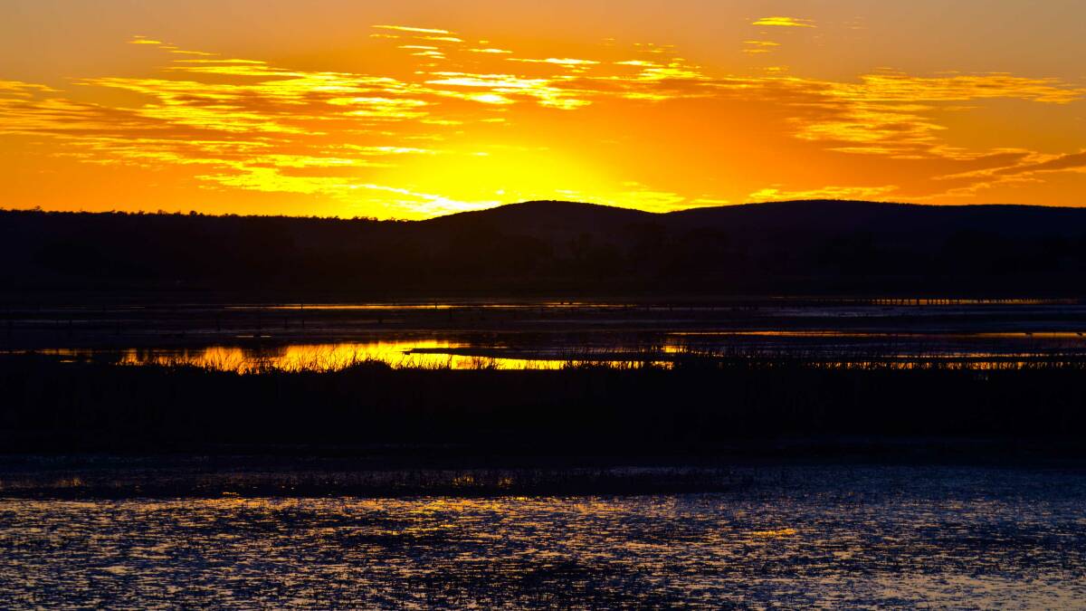 STUNNING: The Fivebough Wetlands is the perfect place to witness a sunrise and listen to all of the sounds it provides, something Leeton artist Jason Richardson has spent time recording recently. Photo: Jason Richardson