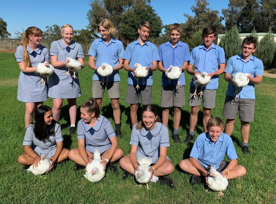 A CHOOK'S LIFE: The St Francis College students with the chickens they've raised ahead of the Royal Easter Show. Photo: Contributed