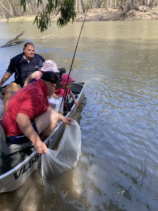 BYE FISHY: James Fohmsbee (front) releases some of the finglerings into the Murrumbidgee River recently. Photo: Contributed 