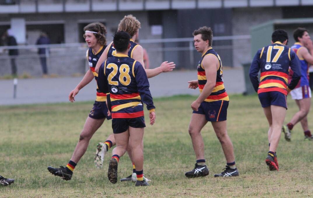 DOUR DAY: The Crows celebrate a goal late in the third quarter on Saturday at Leeton Showground. Photo: Talia Pattison