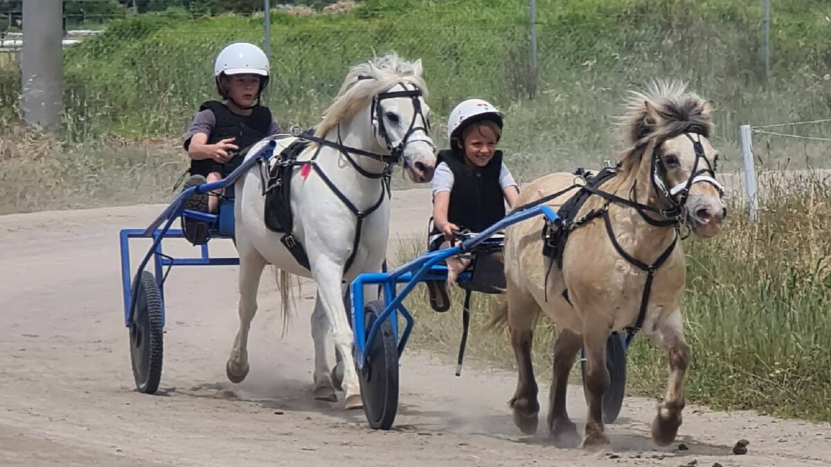 Leeton's mini trotters will be in action throughout the Leeton Harness Racing Club's Christmas carnival at Lin Gordon Paceway. Picture supplied