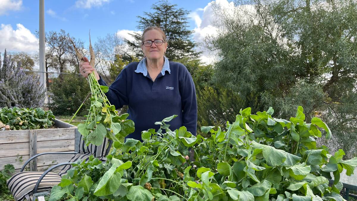 FRESH CROP: Lesley Burke from the Leeton Salvation Army hopes to see the community garden project continue to grow. Photo: Talia Pattison