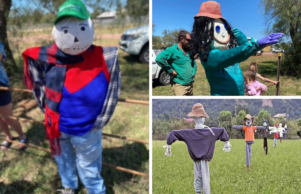 INITIATIVE: The Leeton Show Society has issued a challenge as part of the "no show scarecrow" campaign. Photos: Supplied