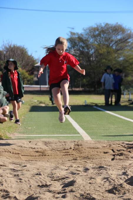 WOW: Alexia Shortis prepares to land in the junior girls long jump during the recent Parkview Public School athletics carnival. Photo: Supplied