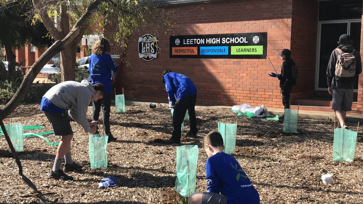 HARD YAKKA: Leeton High School students work to plant the seedlings outside the front office during National Tree Day recently. Photo: Contributed 