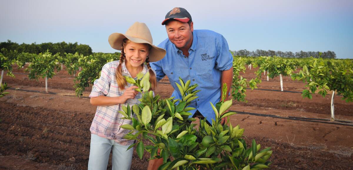 APPLY NOW: Leeton citrus grower Greg Harrison and daughter Holley hard at work. Photo: Contributed