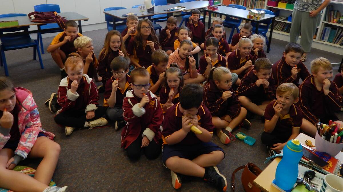 Wamoon Public School students participate in the "Big Veggie Crunch". 