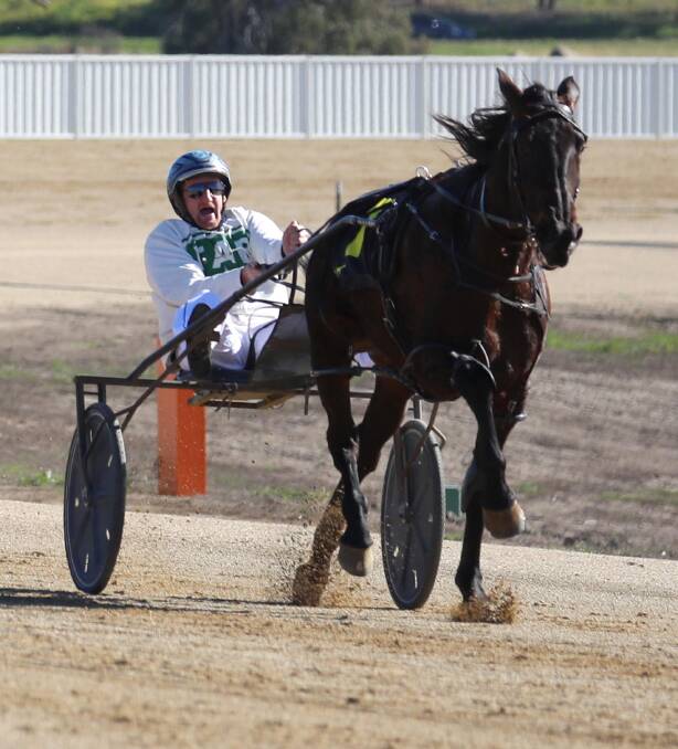 IN THE MIX: Coleambally reinsman smokes the field during an earlier race this year. Leeton Harness Racing Club is looking forward to a successful summer carnival. Photo: The Daily Advertiser 