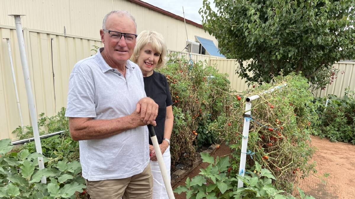 Dave and Joy Lang in their veggie patch. Picture by Talia Pattison