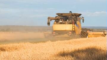 Reports are starting to flow from this season's rice harvest and the news is looking positive according to the Ricegrowers' Association of Australia. Picture file 