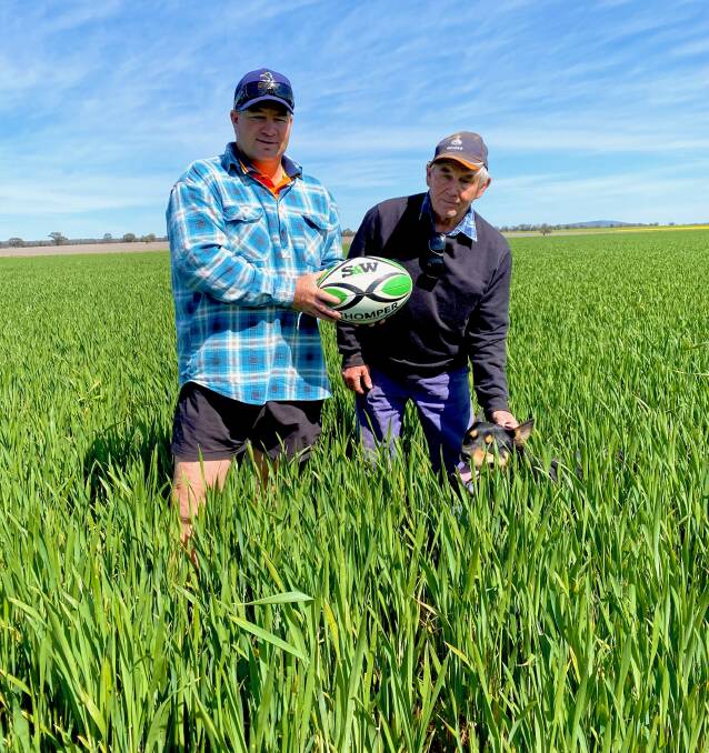 BENEFITS: Scott (left) and Doug McDonald with Jaffa the dog inspecting the crop on their property. Photo: Liz Munn