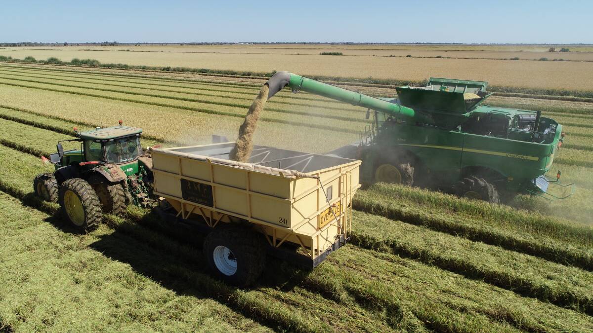 BETTER YEAR: Rice harvesting has been underway in the region with yields looking good. Photo: Supplied