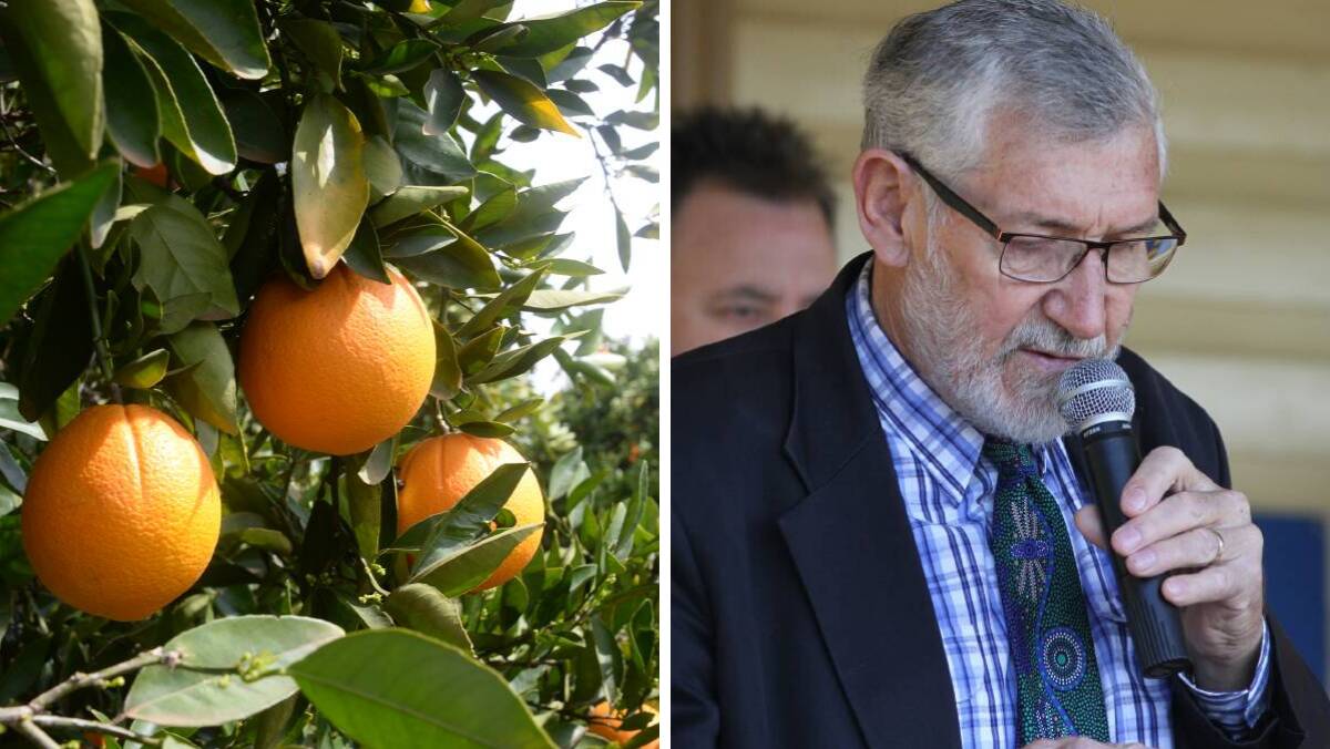 NOT HAPPY: Leeton Shire Council mayor Paul Maytom said a decision to lower the health star rating of orange juice would have a huge impact on the industry here in the MIA. 