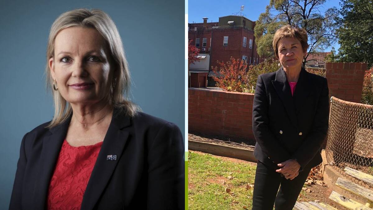 WEIGHING IN: Leeton shire's local members Sussan Ley (left, Member for Farrer) and Helen Dalton (Member for Murray).