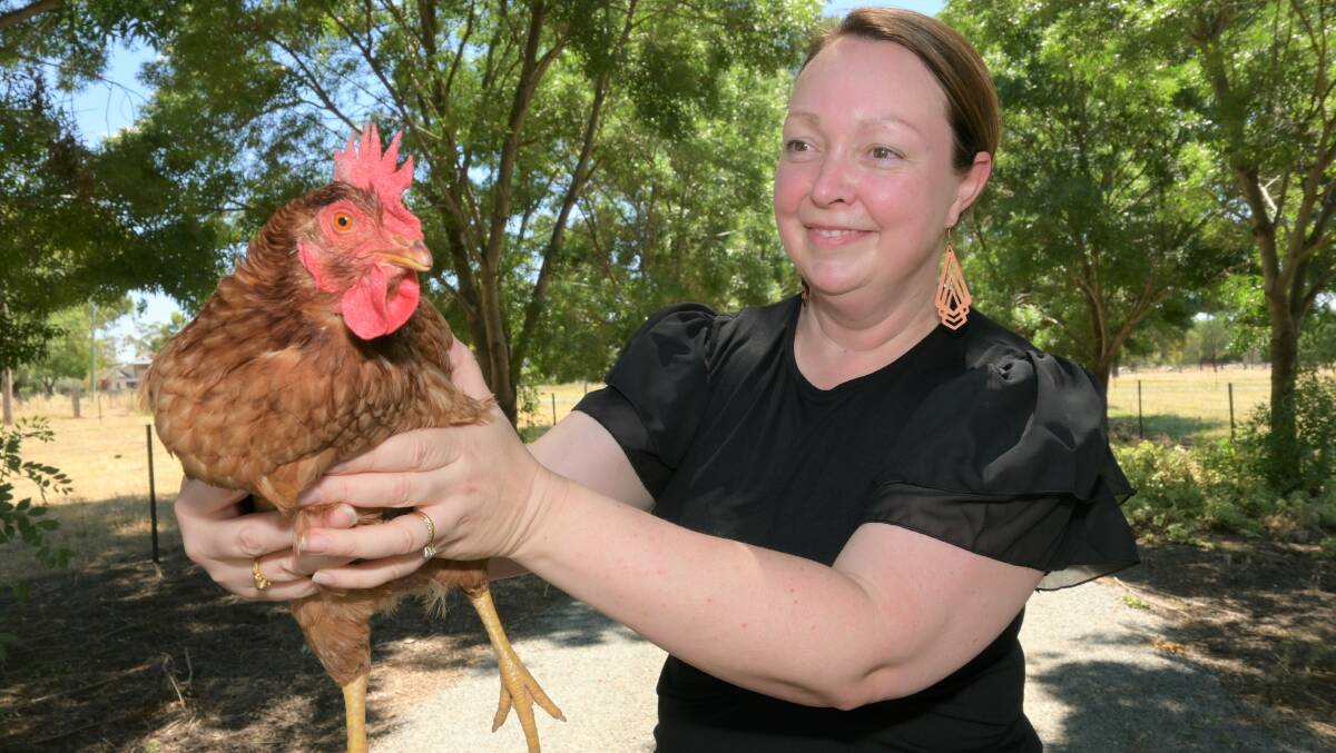 FEATHERED FRIEND: Murrumbidgee Local Health District's Rebekah Manwaring with Rosie the chicken, a former participant of the virus surveillance program. Photo: Kenji Sato 