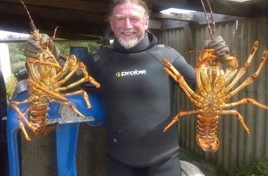 TWO THAT STAYED: Jim Ewing with some crayfish after a good day at sea. PHOTO: Black Pepper Publishing