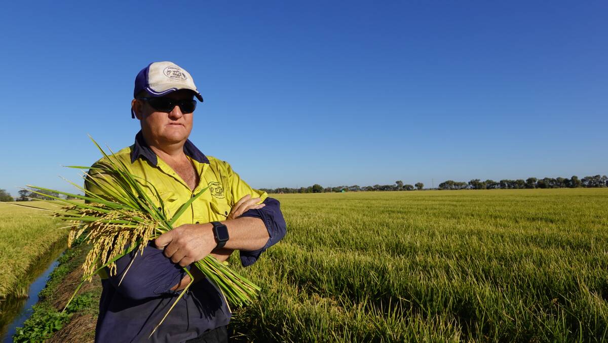 CALAMITOUS: Rice grower Chris Morshead says the Productivity Commissions' new draft water report 'has missed the mark completely'. Photo: Monty Jacka
