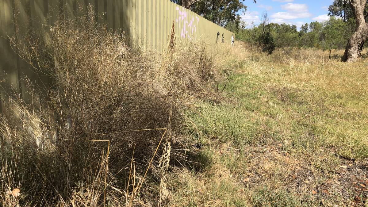 Substantial grass growth around homes is a fire risk, the RFS warns. PHOTO: Monty Jacka