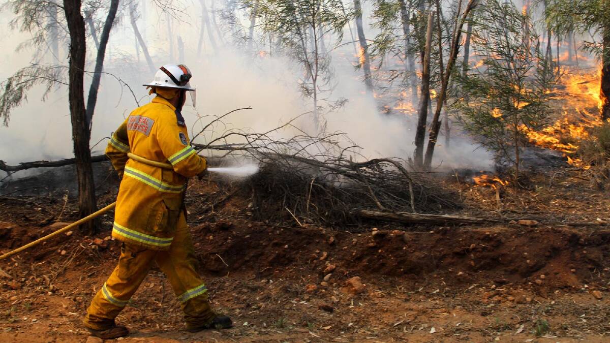 RISK: Substantial rainfall over the winter has spurred grass growth in the MIA, meaning there is plenty of fuel for potential fires. PHOTO: File