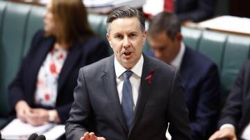 Federal Health Minister Mark Butler. Picture by Keegan Carroll