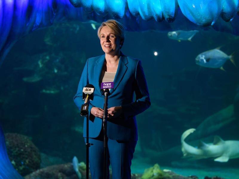 Tanya Plibersek didn't dispute natural wonders of significance will be affected by climate change. (Bianca De Marchi/AAP PHOTOS)