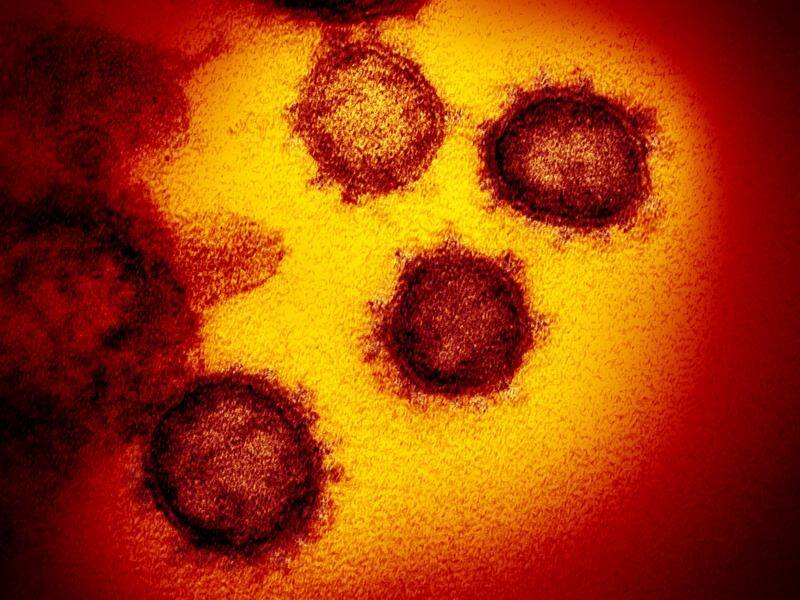 The number of new coronavirus infections appear to be declining in China, WHO officials say.