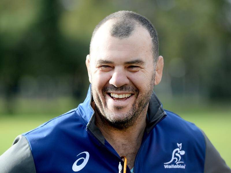 Coach Michael Cheika says he's backing the Wallabies to win the penalty count this weekend.