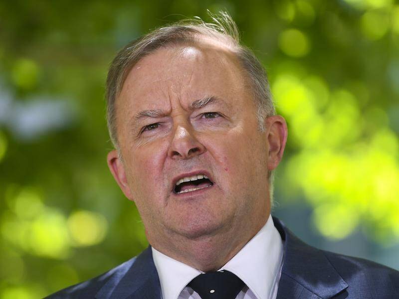 Anthony Albanese says Labor will announce its economic reform policies well before the election.