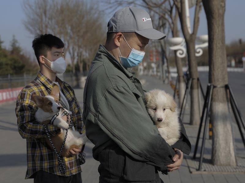 China is reclassifying dogs as pets not livestock as a consequence of the coronavirus outbreak..