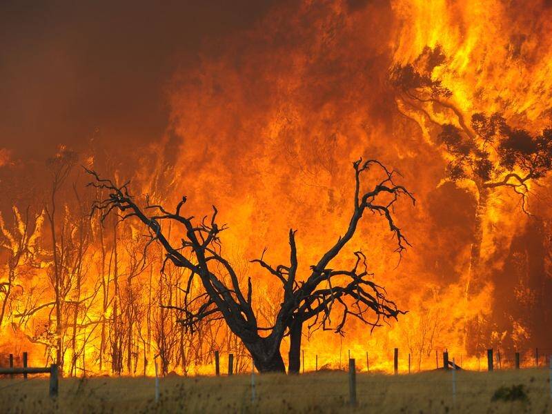 Victoria will mark 10 years since the 2009 bushfires that claimed the lives of 173 people.