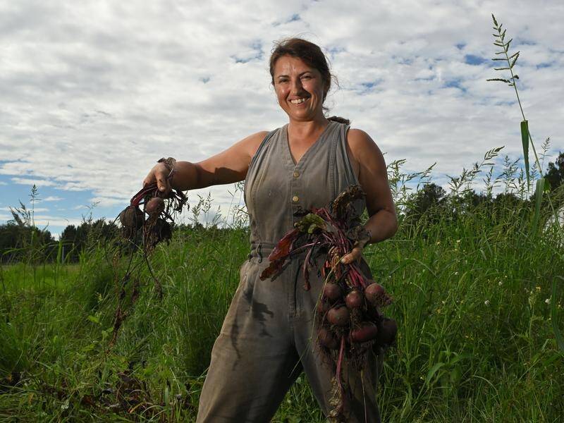 Tanya Senior swapped life as a public servant for getting her hands dirty in a market garden. (Mick Tsikas/AAP PHOTOS)
