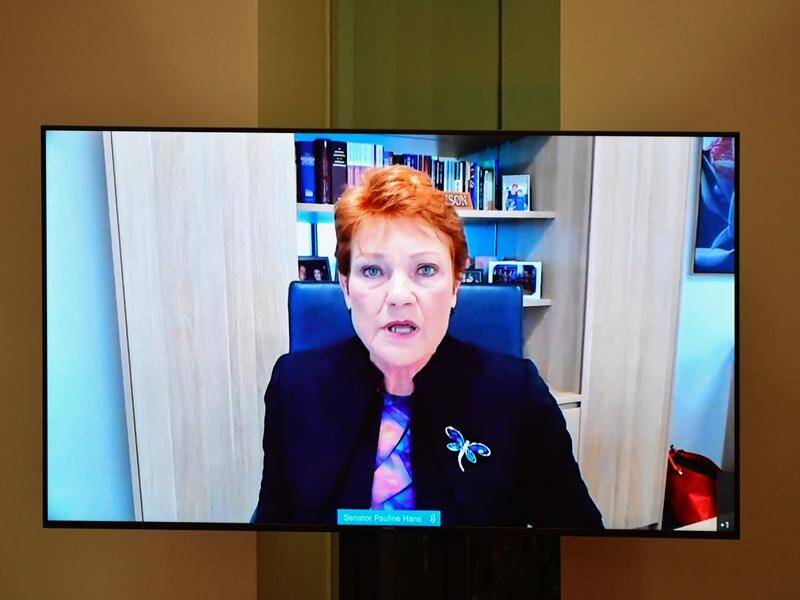 Pauline Hanson says vaccine mandates have unleashed a "pandemic of discrimination" in Australia.