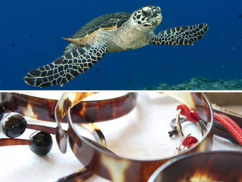 The Surrender Your Shell project wants people to post hawksbill turtle products to researchers.